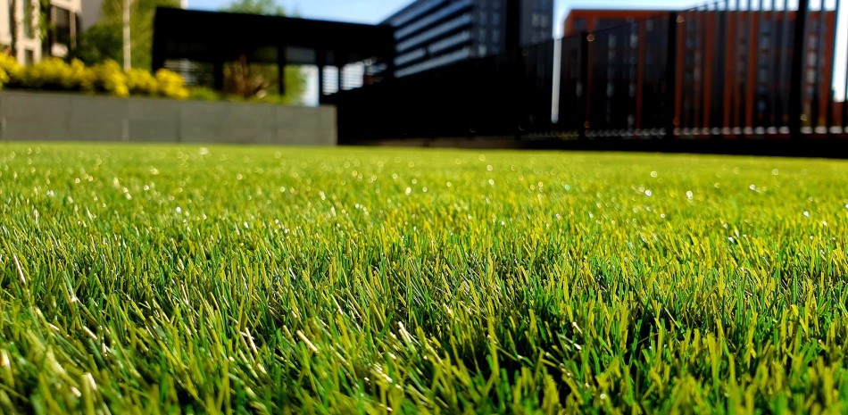 Landscaping Services