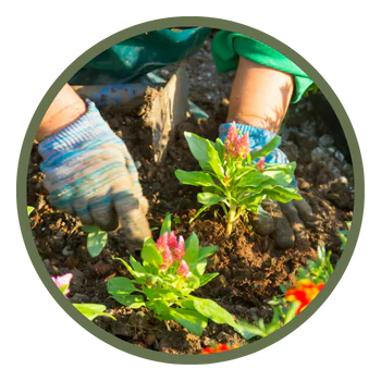 garden makeover icon