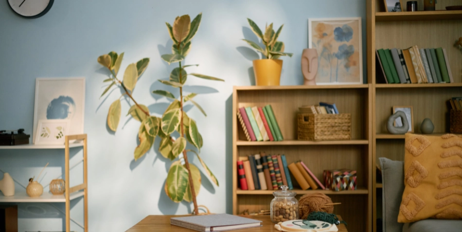 indoor plant design sp